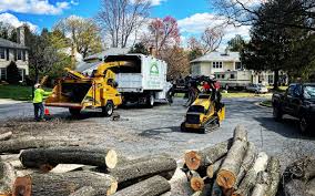Best Lawn Pest Prevention  in Brackettville, TX