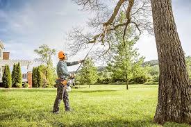 Best Lawn Watering Services  in Brackettville, TX