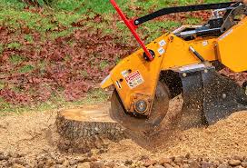 Best Lawn Mowing  in Brackettville, TX